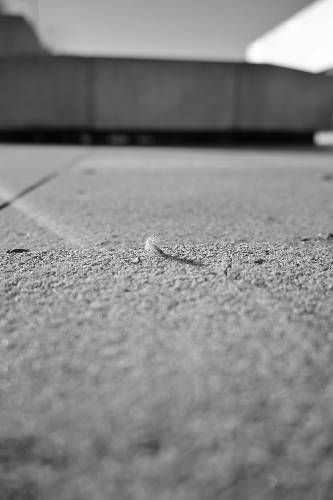 Individuelle Estrichverlegung